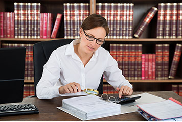 Investigative and Audit Support