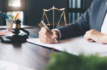 Legal and Litigation Support