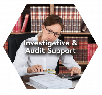 Investigattive & Audit Support